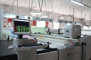 佛山市南海区大沥好世界婴儿用品厂成立26周年,进军电商