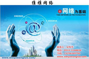 临淄网站建设 高端网站建设 维雅网络 认证商家 高清图片 高清大图