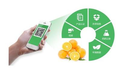 农产品网站建设营销方案