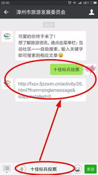 漳州市敬业奉献之星 旅游系统 十佳诚信服务标兵 候选人 822号 长泰县人民政府招待所林伟鹏