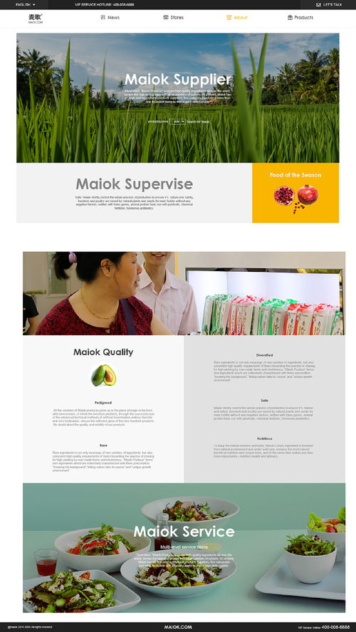 公司网站海外版设计 漳州网站建设的关键策略